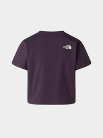 The North Face модель NF0A8G9QG5O1 Фото