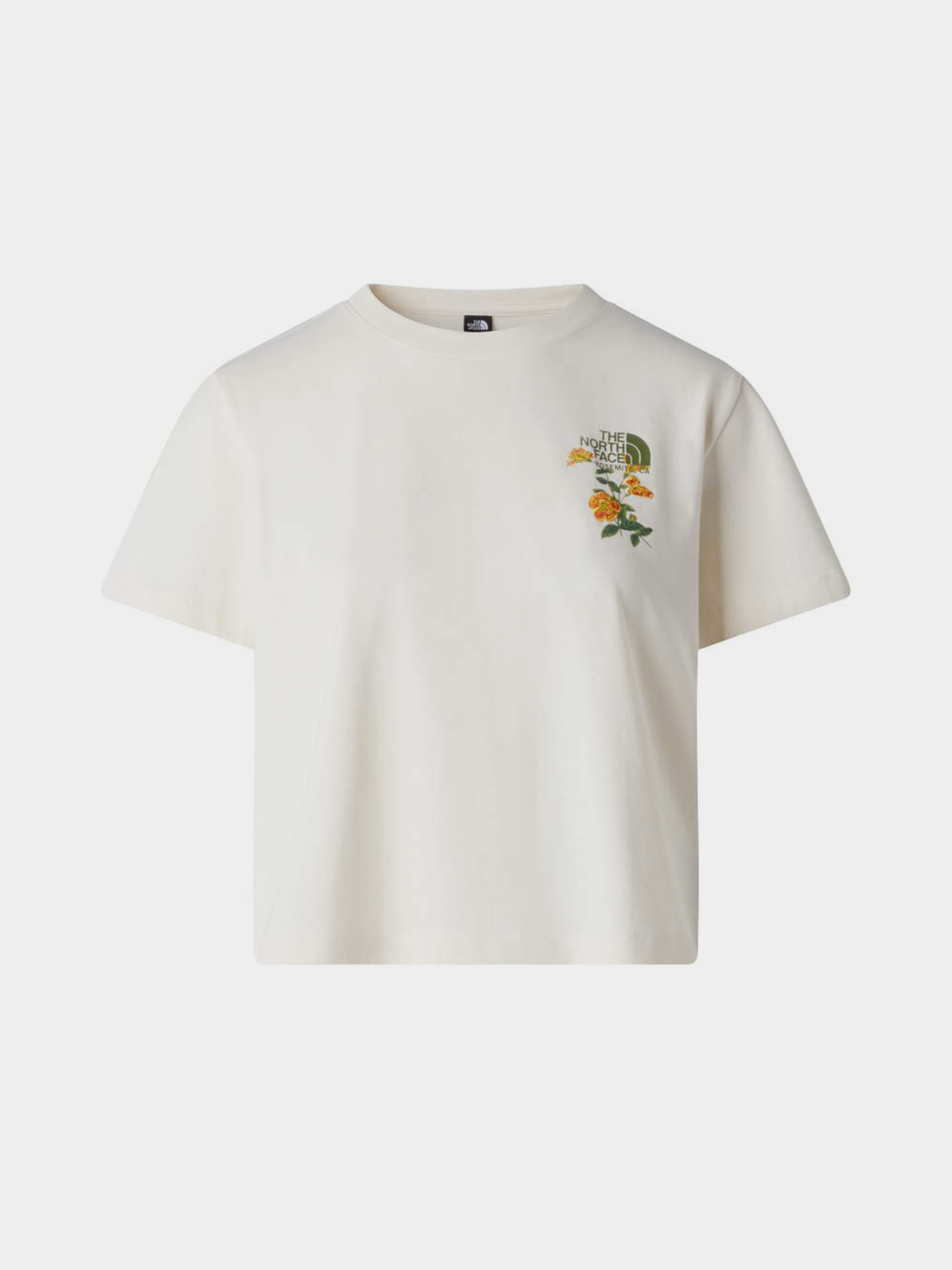 The North Face модель NF0A8G9QQLI1 Фото