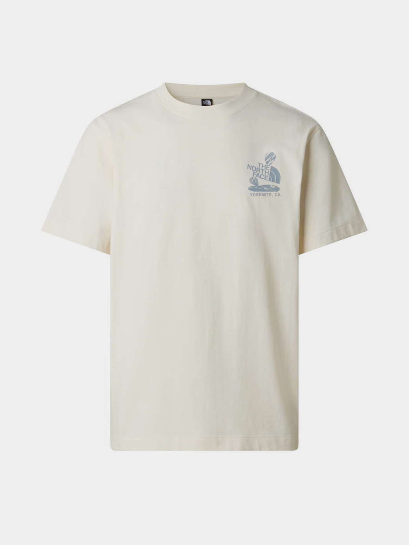 The North Face модель NF0A8G9RQLI1 Фото