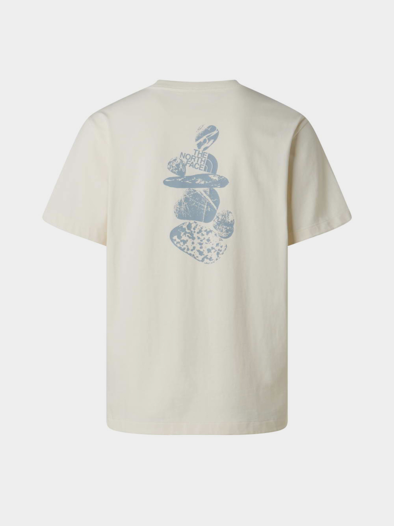 The North Face модель NF0A8G9RQLI1 Фото