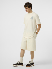 Футболки и поло The North Face M STONES RELAXED SHORT SLEEVE модель NF0A8G9RQLI1 Фото