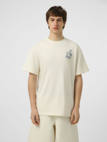 Футболка The North Face M STONES RELAXED SHORT SLEEVE модель NF0A8G9RQLI1 Фото