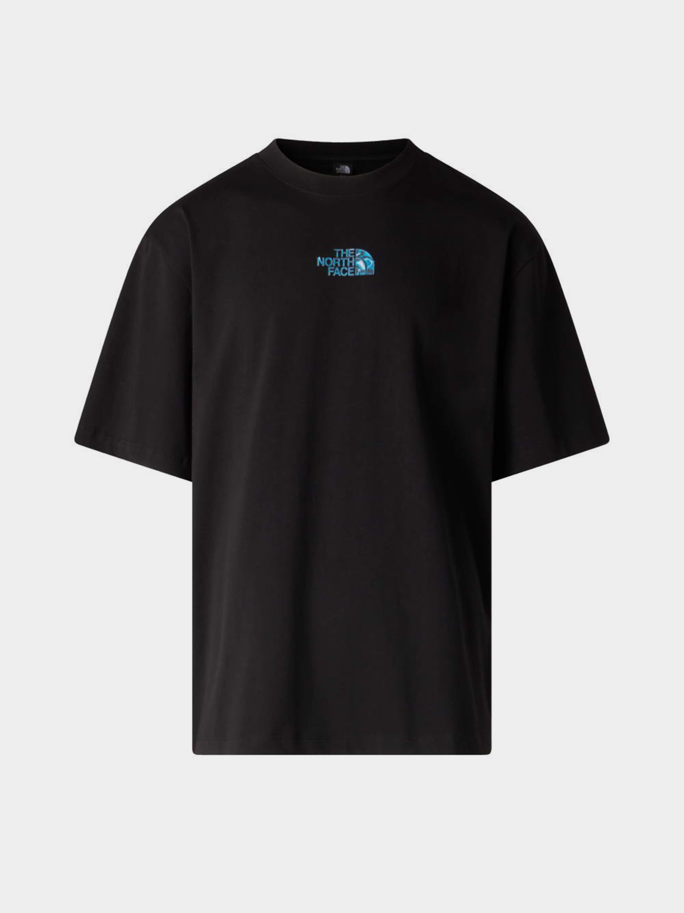 The North Face модель NF0A8G9UJK31 Фото