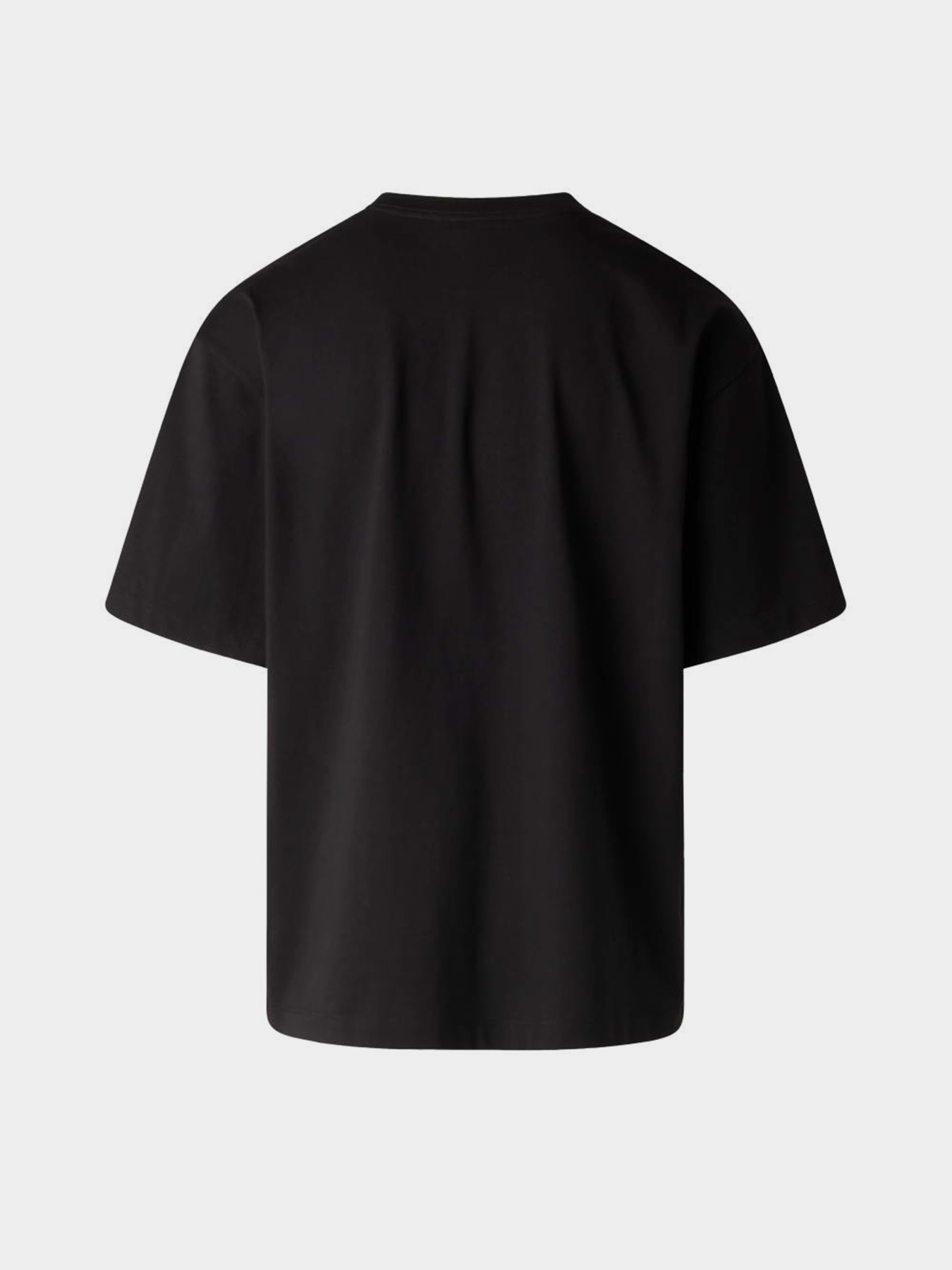 The North Face модель NF0A8G9UJK31 Фото