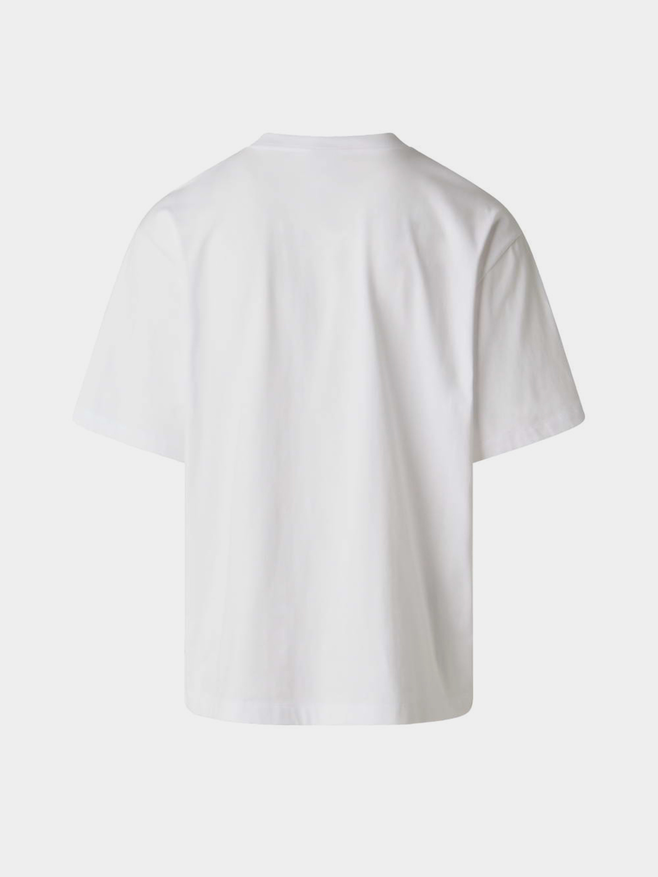 The North Face модель NF0A8G9UFN41 Фото