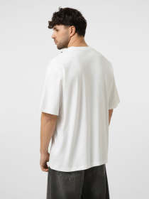 Футболки и поло The North Face M LIQUID LOGO OVERSIZE SHORT S модель NF0A8G9UFN41 Фото