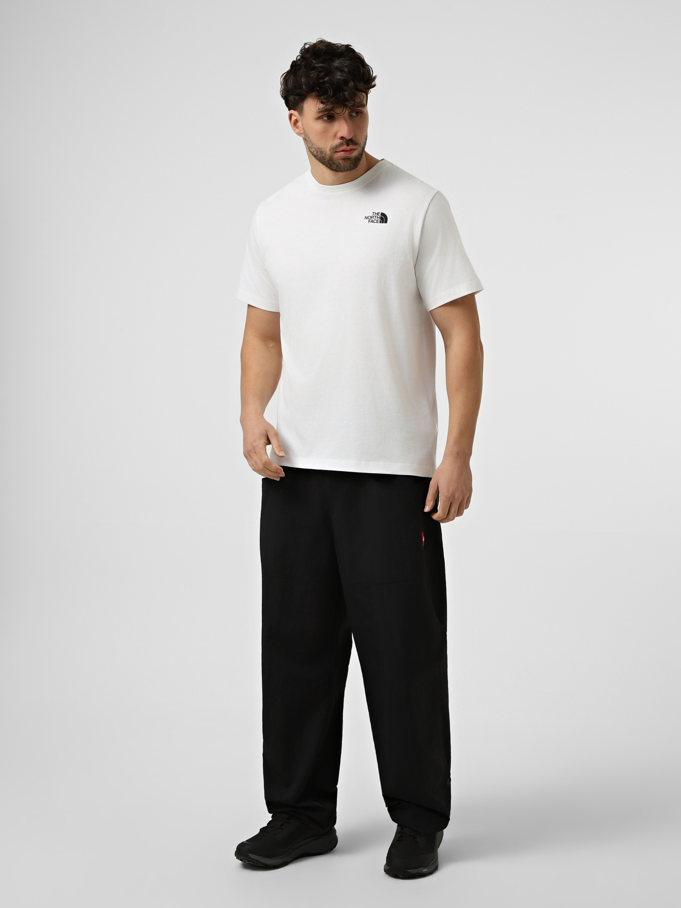 Футболки и поло The North Face M BOX NSE ENERGY REGULAR SHORT модель NF0A8G9VFN41 Фото