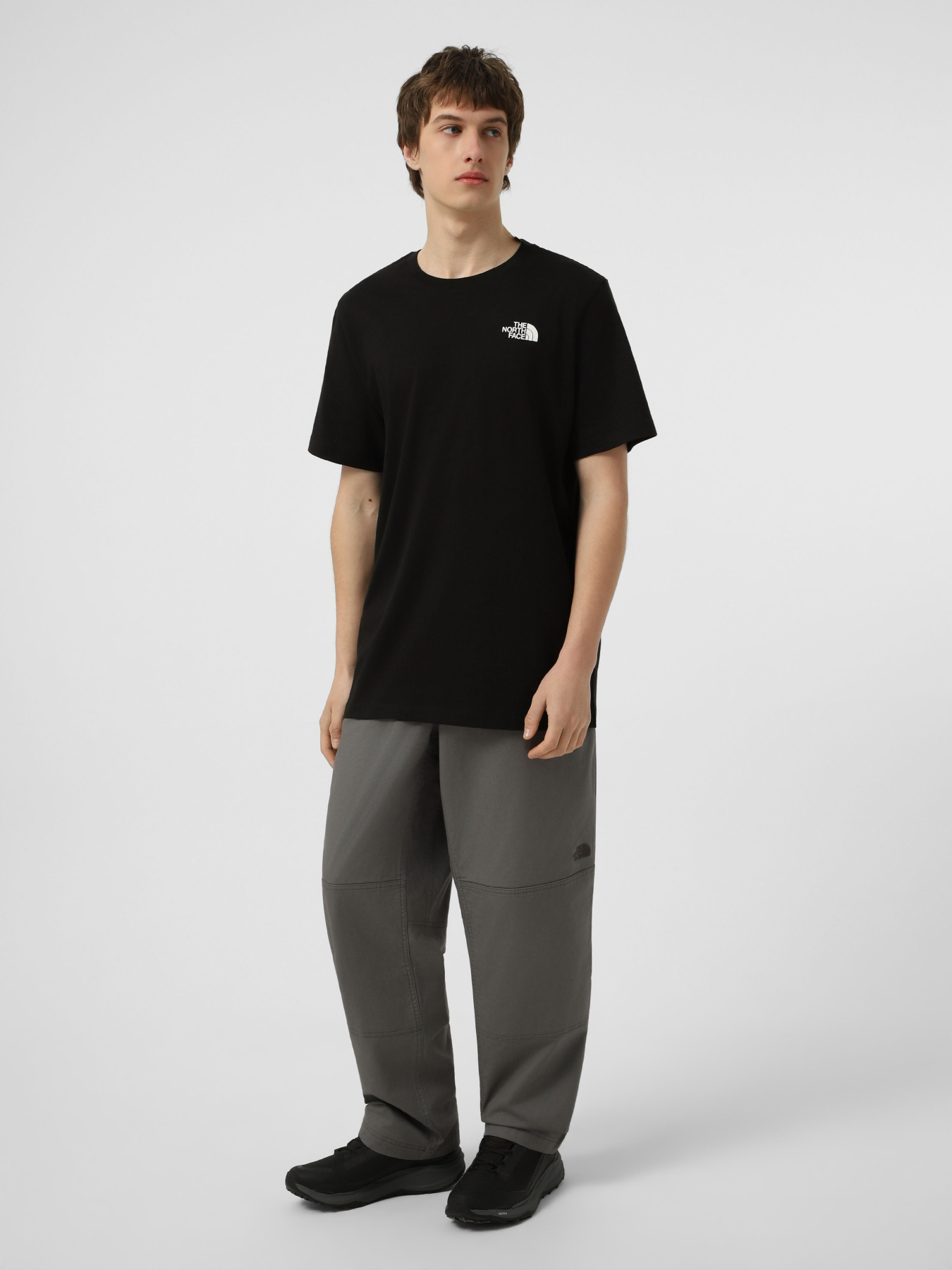 Футболки и поло The North Face M BOX NSE ENERGY REGULAR SHORT модель NF0A8G9VJK31 Фото