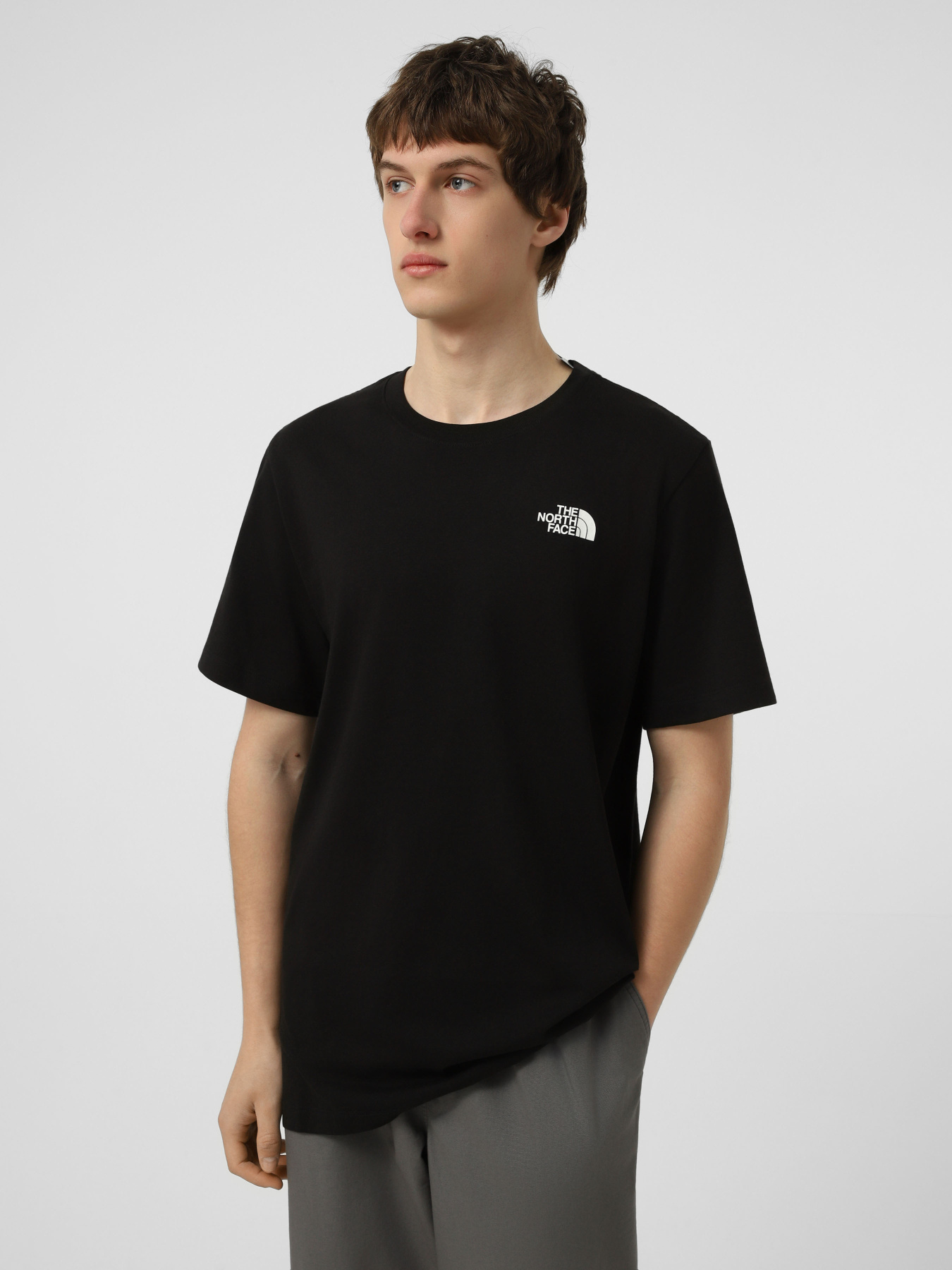 Футболки и поло The North Face M BOX NSE ENERGY REGULAR SHORT модель NF0A8G9VJK31 Фото