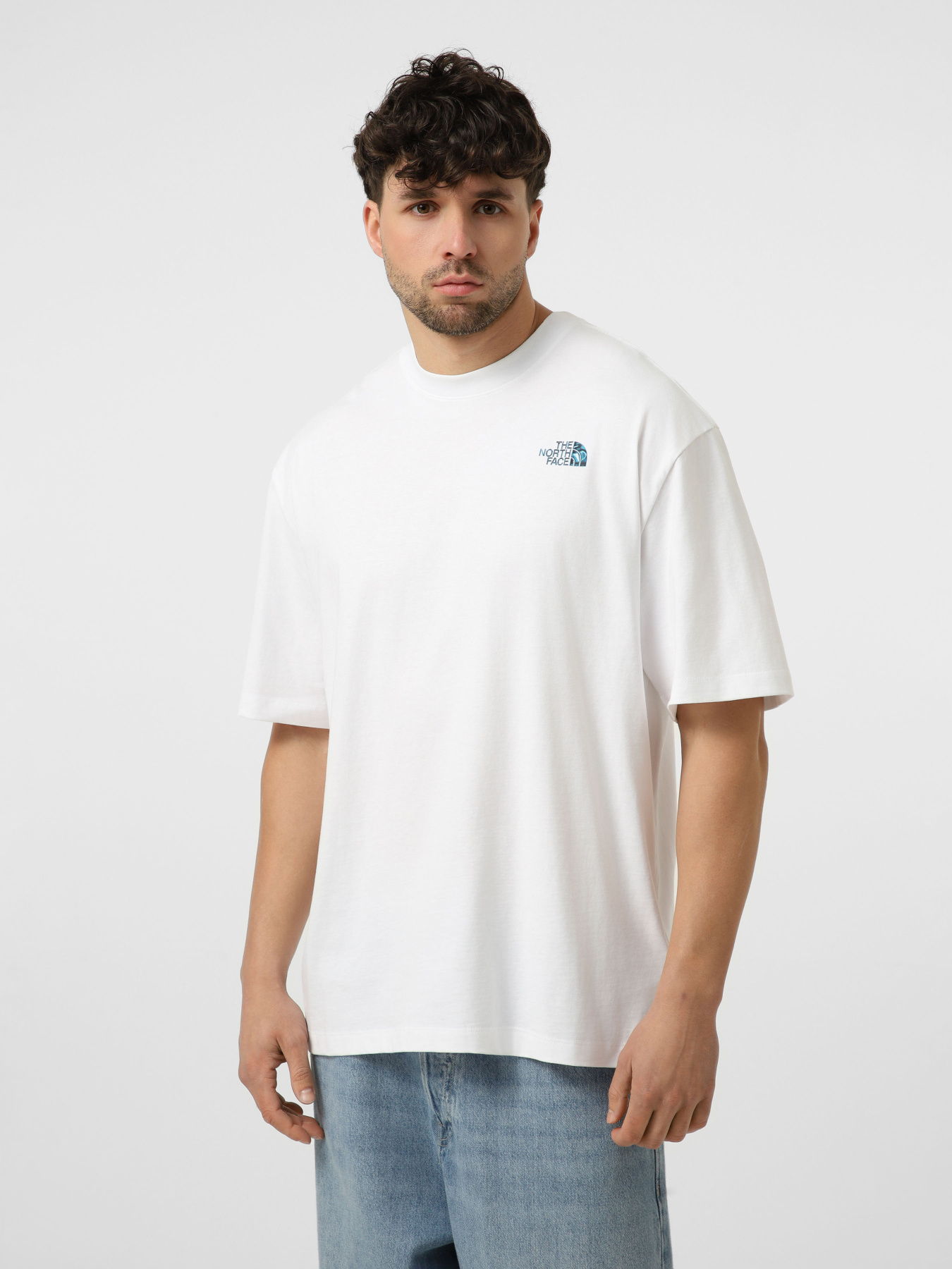 Футболки и поло The North Face M LIQUID BOX NSE OVERSIZE SHOR модель NF0A8G9WFN41 Фото