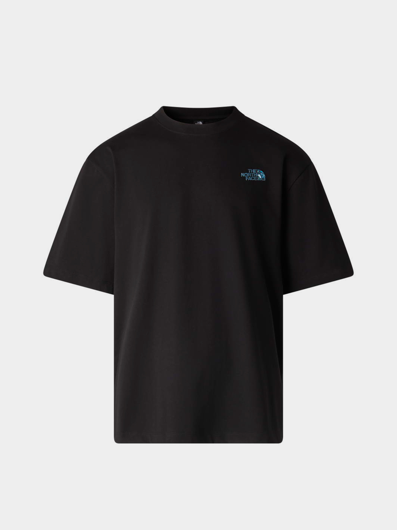 The North Face модель NF0A8G9WJK31 Фото