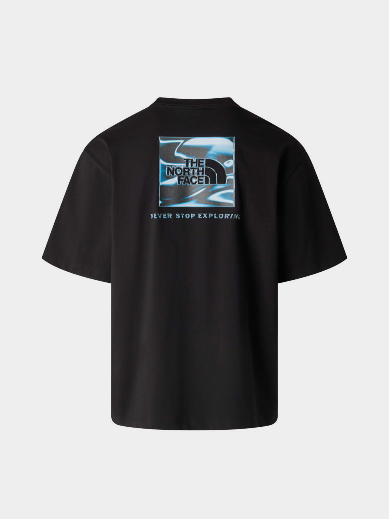 The North Face модель NF0A8G9WJK31 Фото