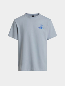 The North Face модель NF0A8G9ZFM21 Фото