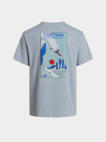 The North Face модель NF0A8G9ZFM21 Фото