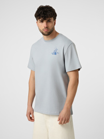 Футболки і поло The North Face M MOUNTAIN CELEBRATION REGULAR модель NF0A8G9ZFM21 Фото