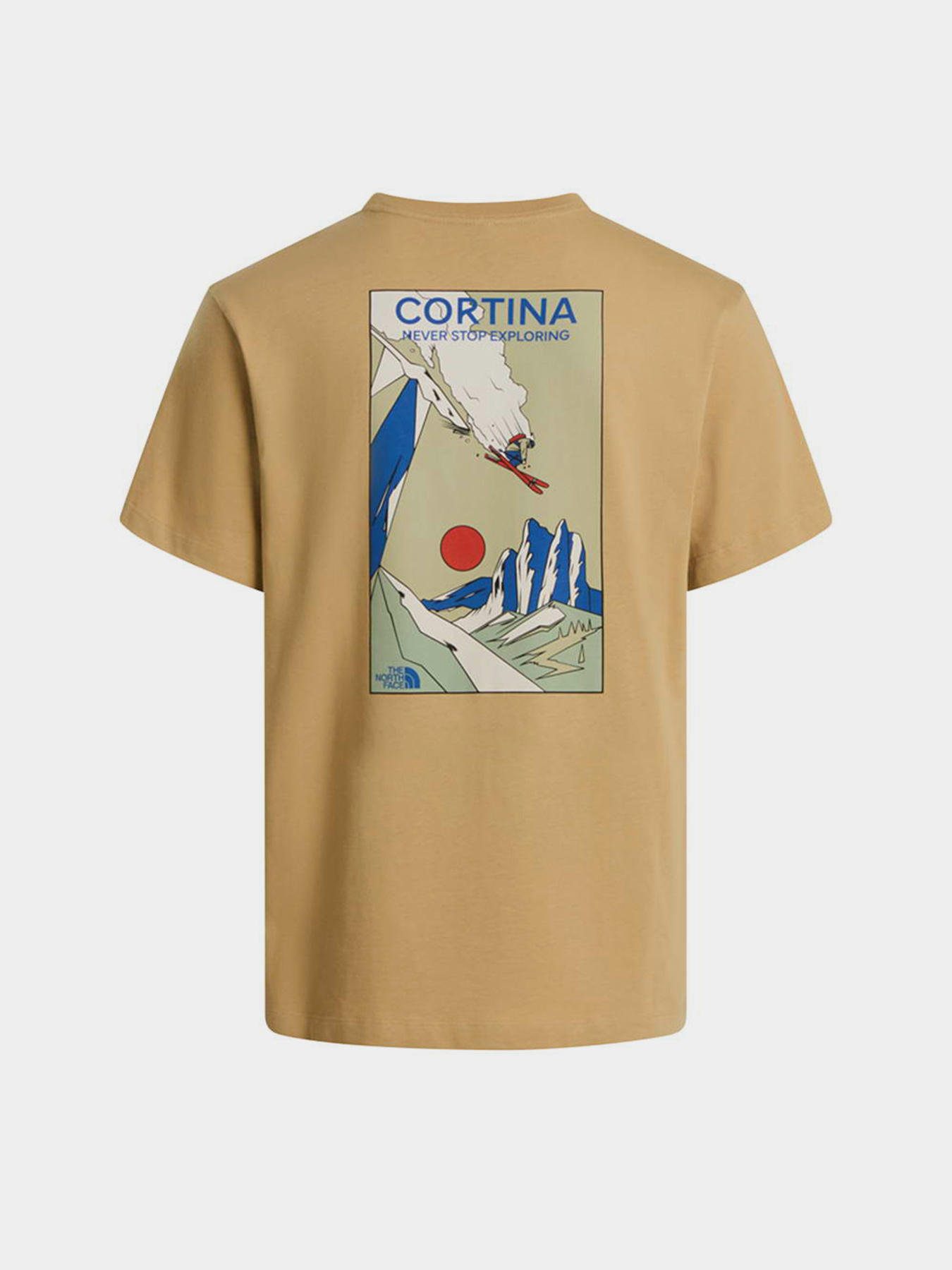 The North Face модель NF0A8G9ZLK51 Фото