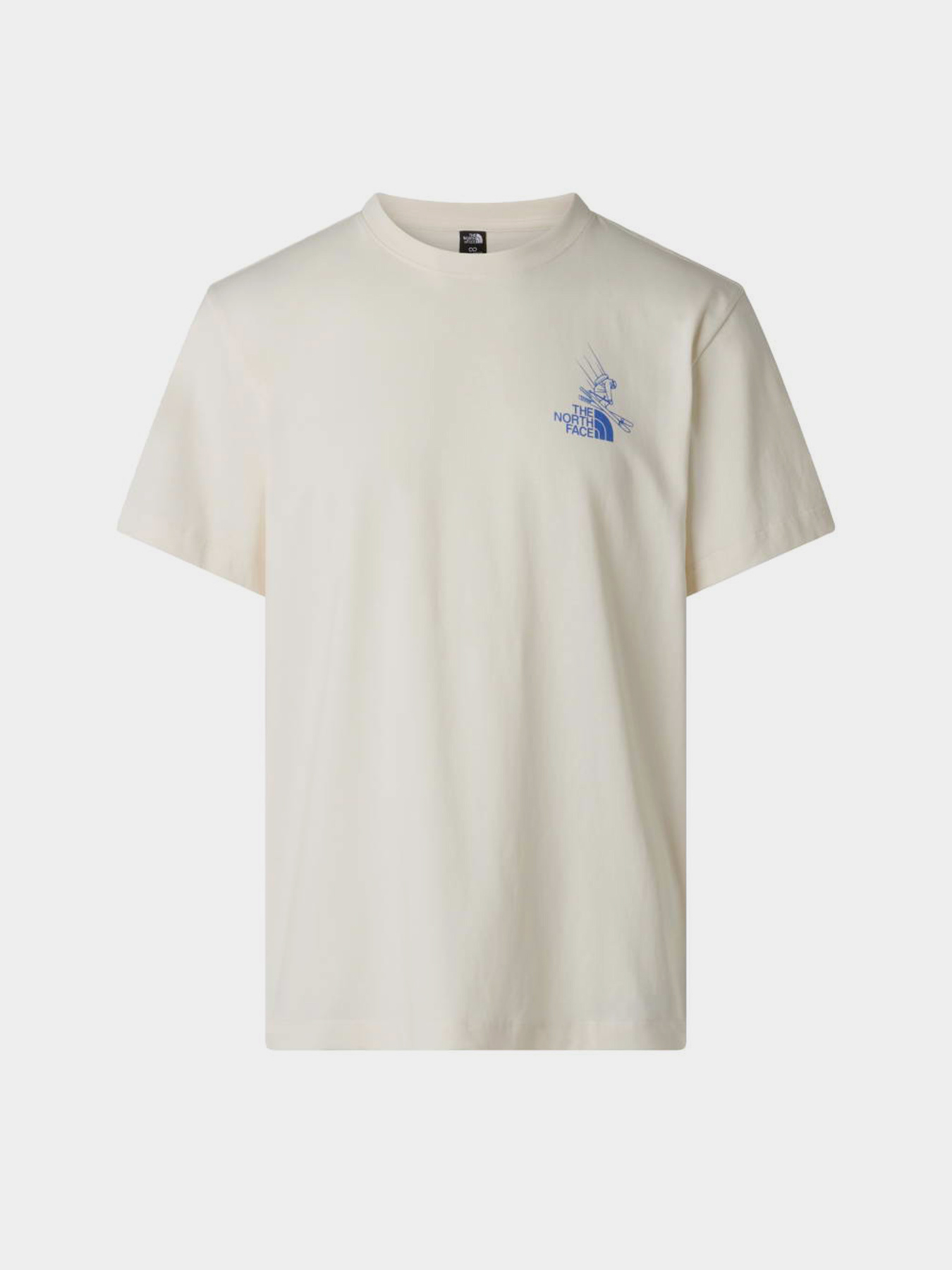 The North Face модель NF0A8G9ZQLI1 Фото