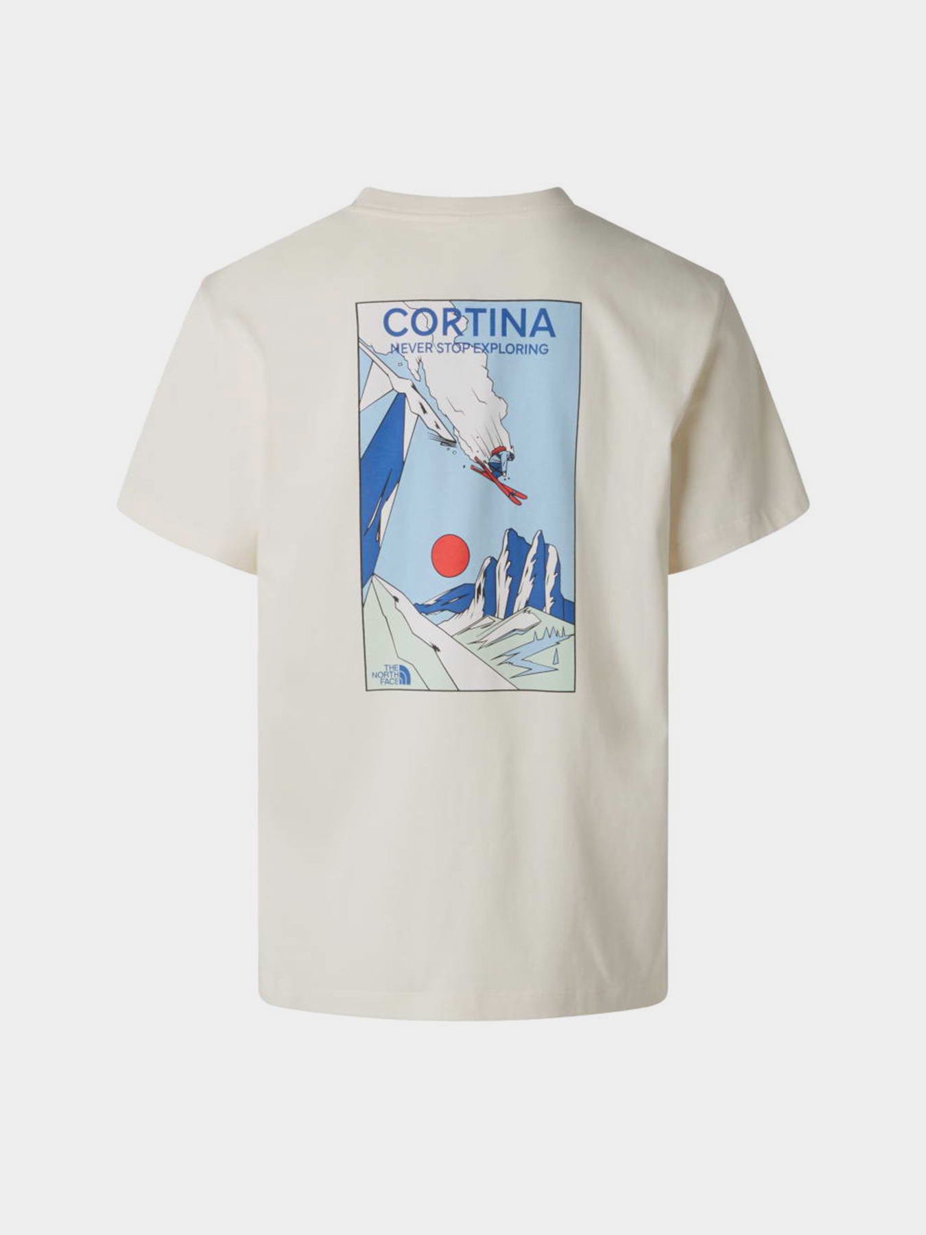 The North Face модель NF0A8G9ZQLI1 Фото