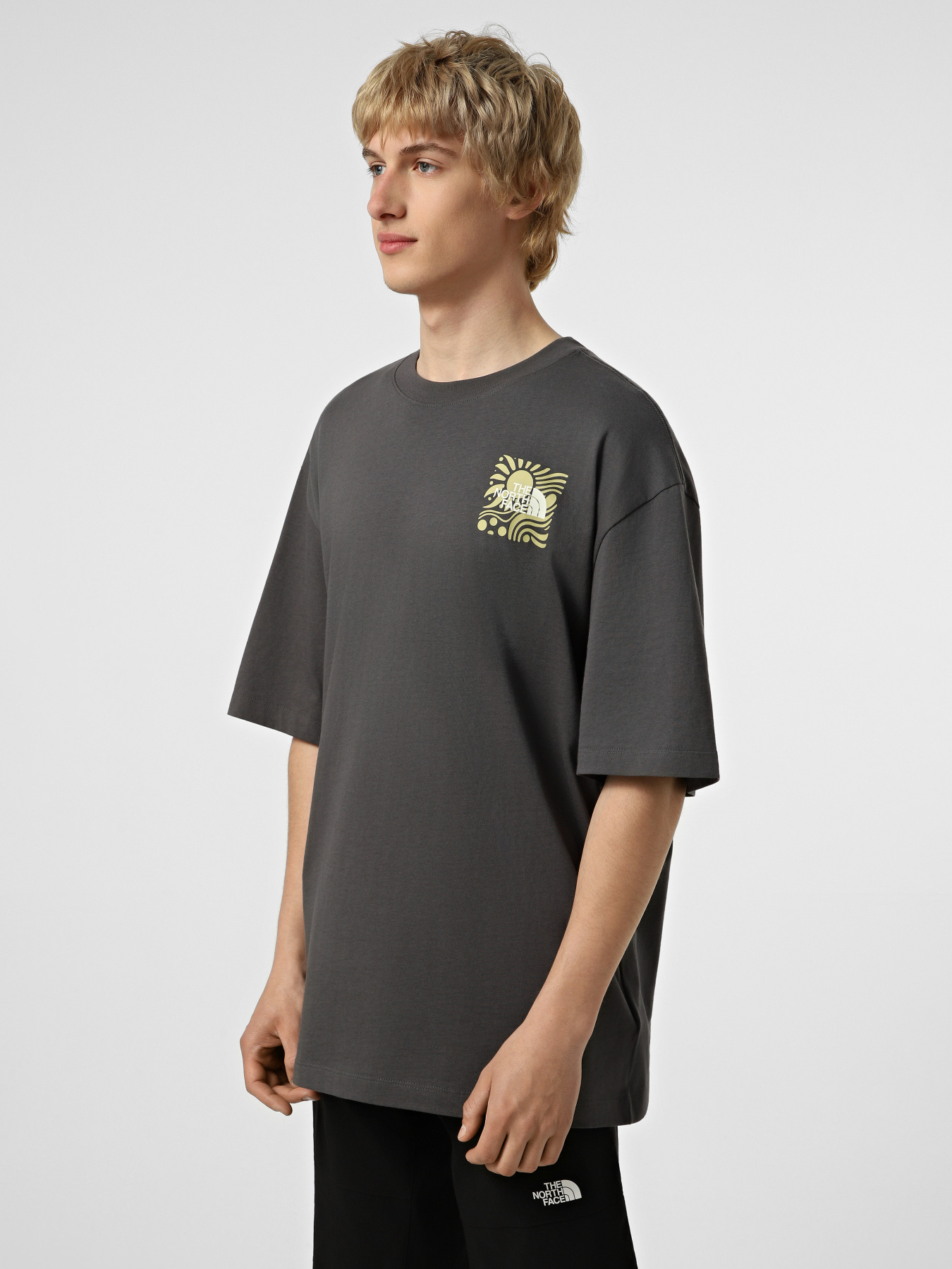 Футболки и поло The North Face M SUN OVERSIZE SHORT SLEEVE TE модель NF0A8GA0RHI1 Футболки и поло The North Face M SUN OVERSIZE SHORT SLEEVE TE модель NF0A8GA0RHI1 Фото