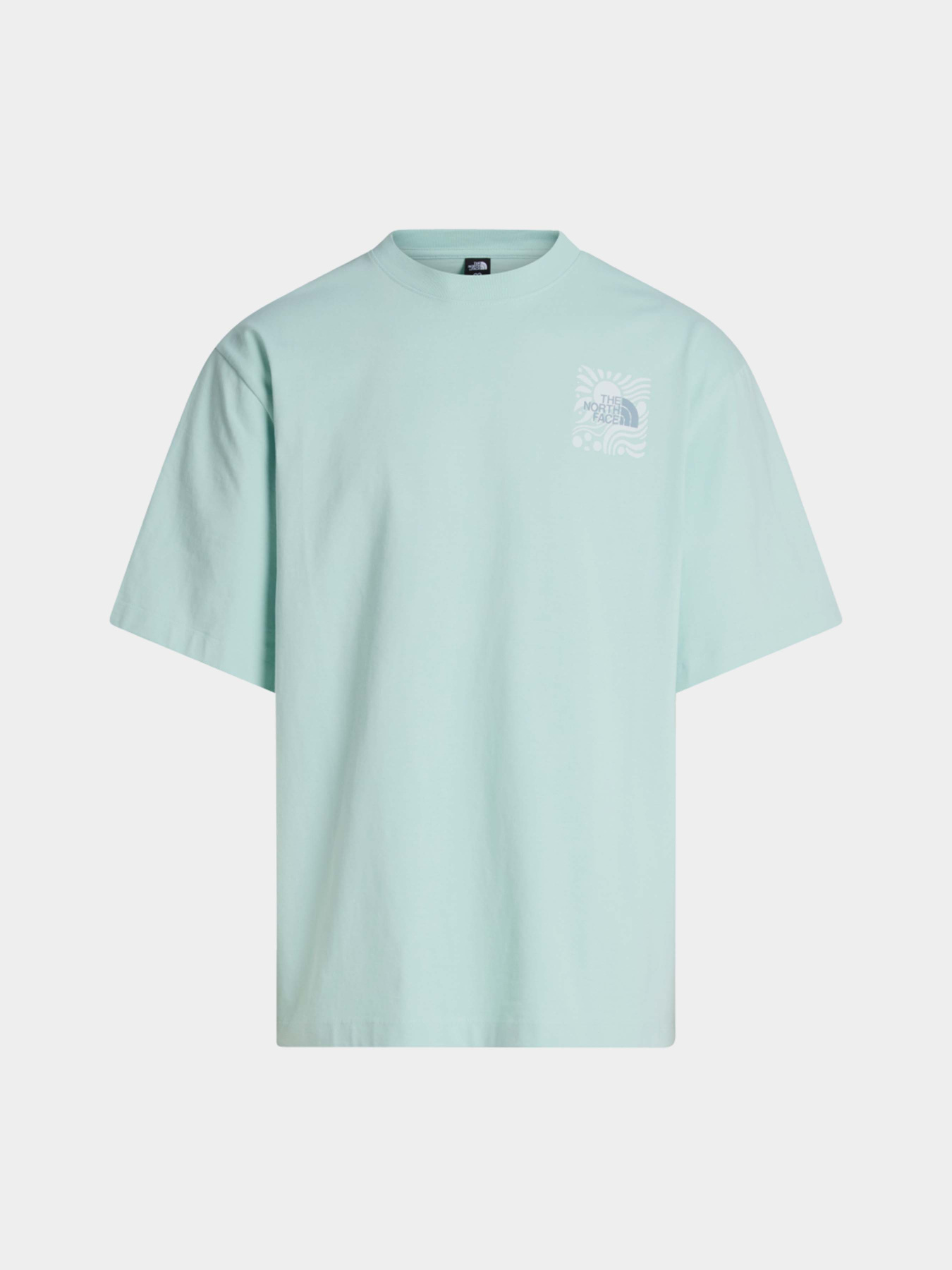 Футболки и поло The North Face M SUN OVERSIZE SHORT SLEEVE TE модель NF0A8GA0G701 Фото