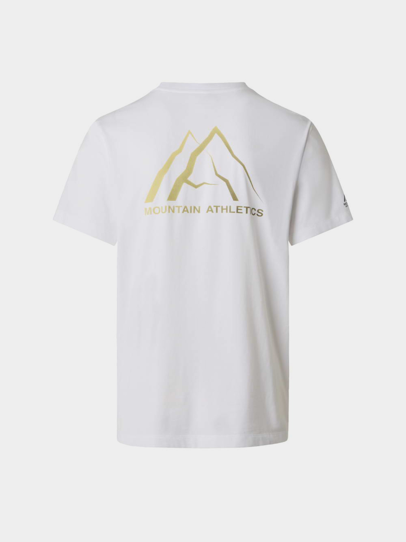 The North Face модель NF0A8GA4FN41 Фото