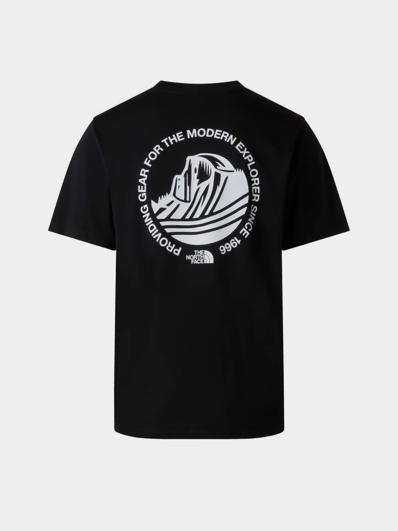 The North Face модель NF0A8GA7JK31 Фото