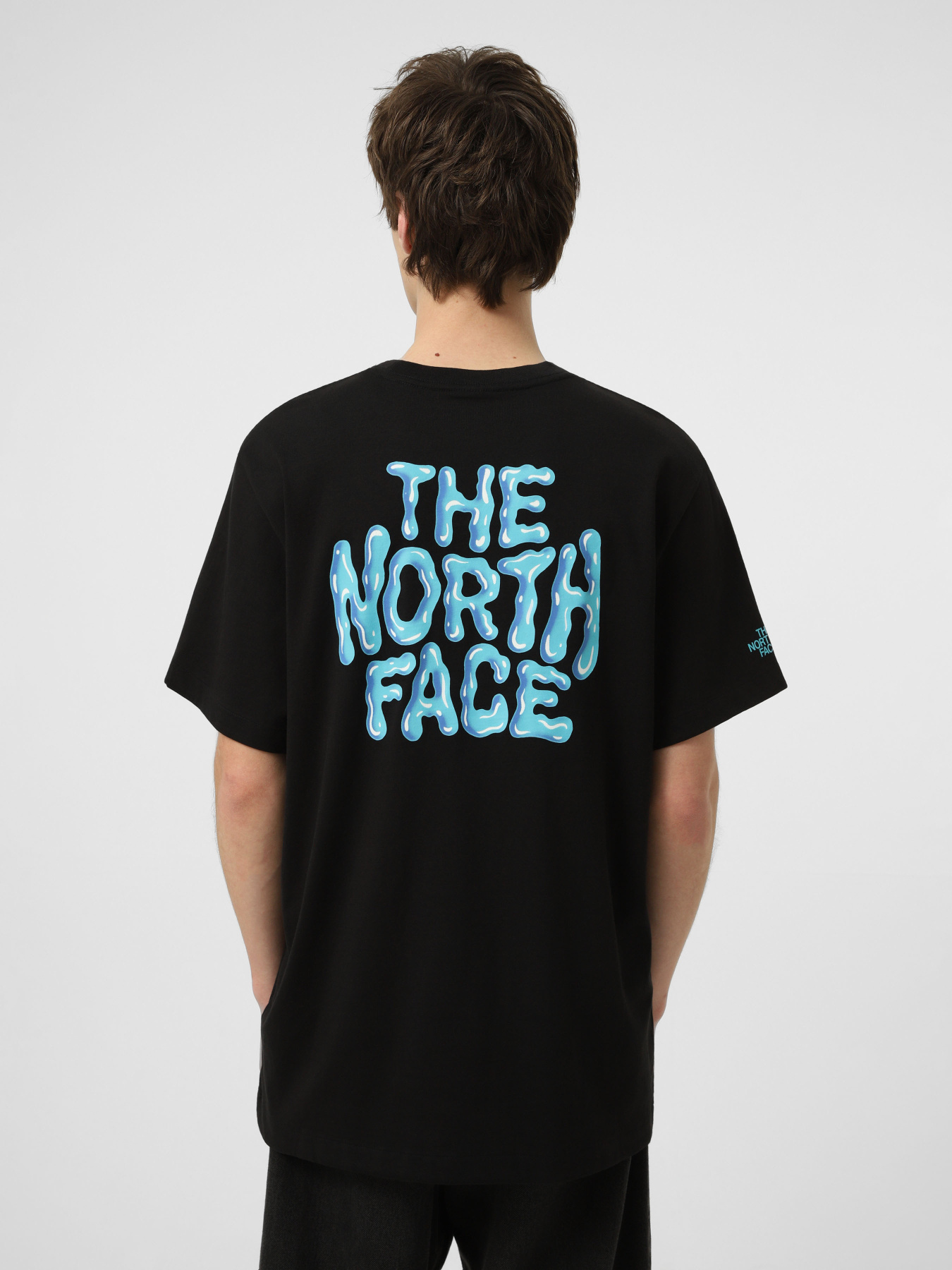 Футболки и поло The North Face M DRIP LOGO RELAXED SHORT SLEE модель NF0A8GABJK31 Фото