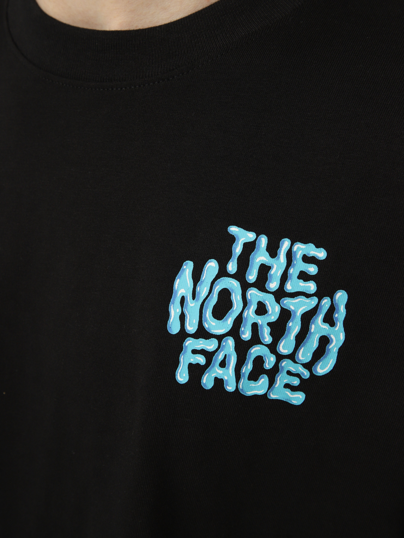 Футболки і поло The North Face M DRIP LOGO RELAXED SHORT SLEE модель NF0A8GABJK31 Фото