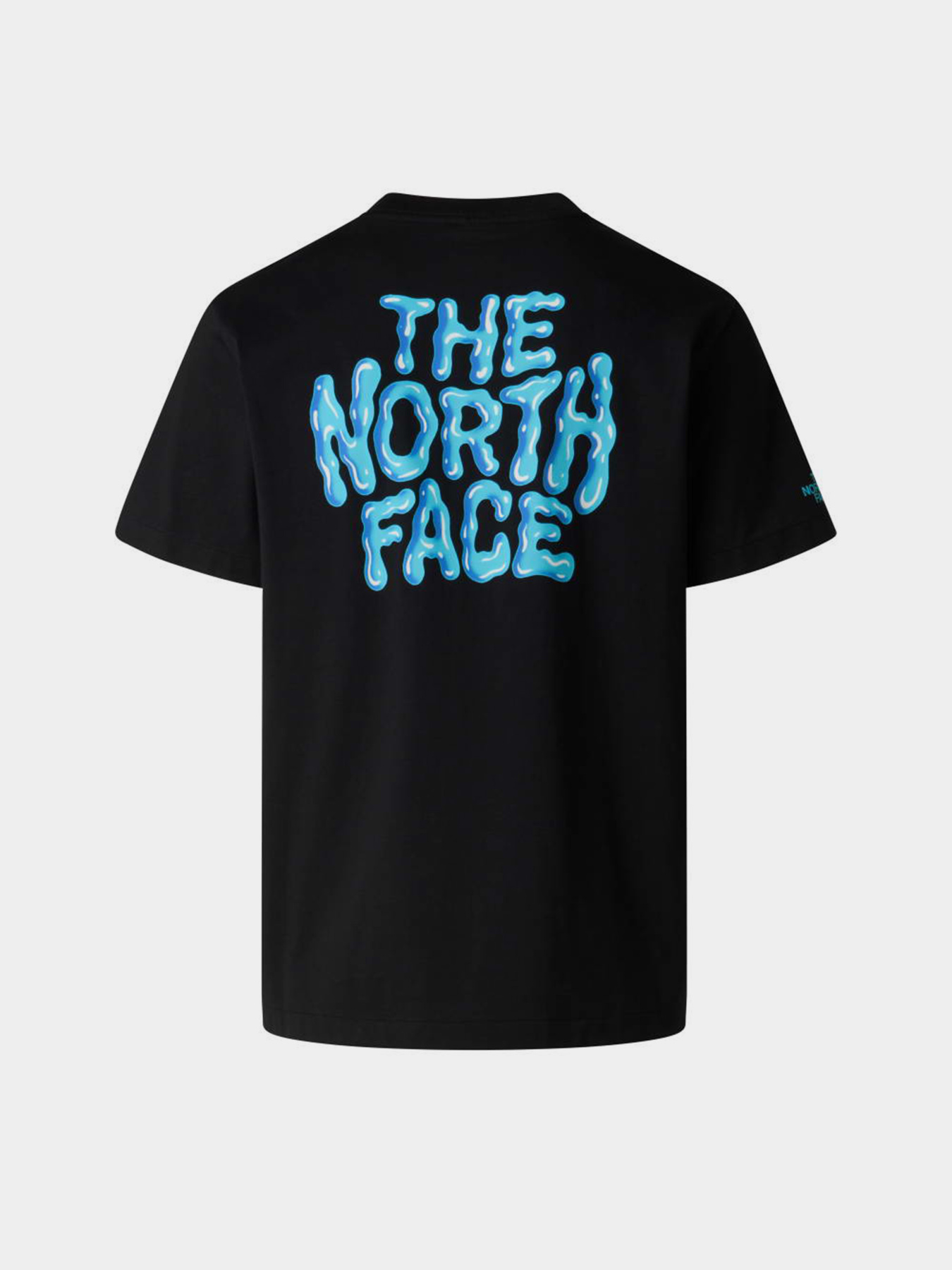 Футболки і поло The North Face M DRIP LOGO RELAXED SHORT SLEE модель NF0A8GABJK31 Фото