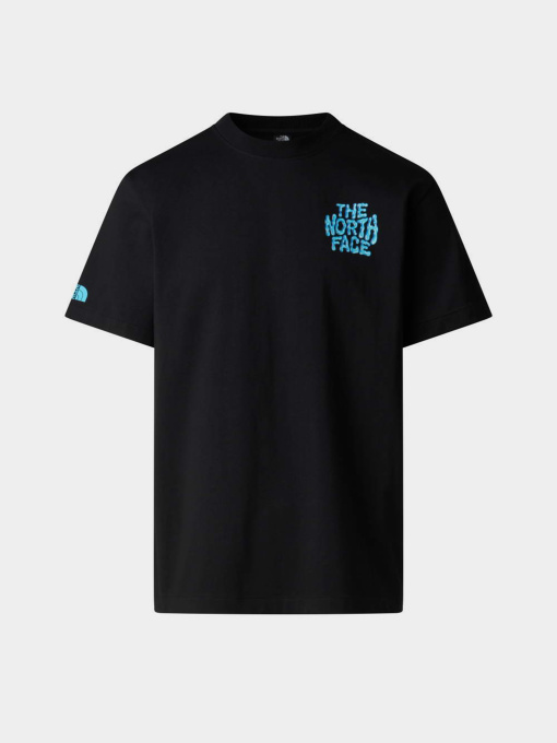 The North Face модель NF0A8GABJK31 Фото