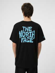 Футболки и поло The North Face M DRIP LOGO RELAXED SHORT SLEE модель NF0A8GABJK31 Фото