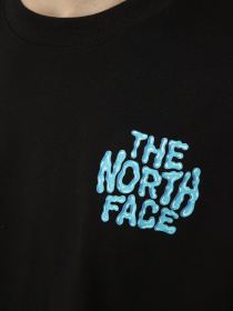 Футболки и поло The North Face M DRIP LOGO RELAXED SHORT SLEE модель NF0A8GABJK31 Фото