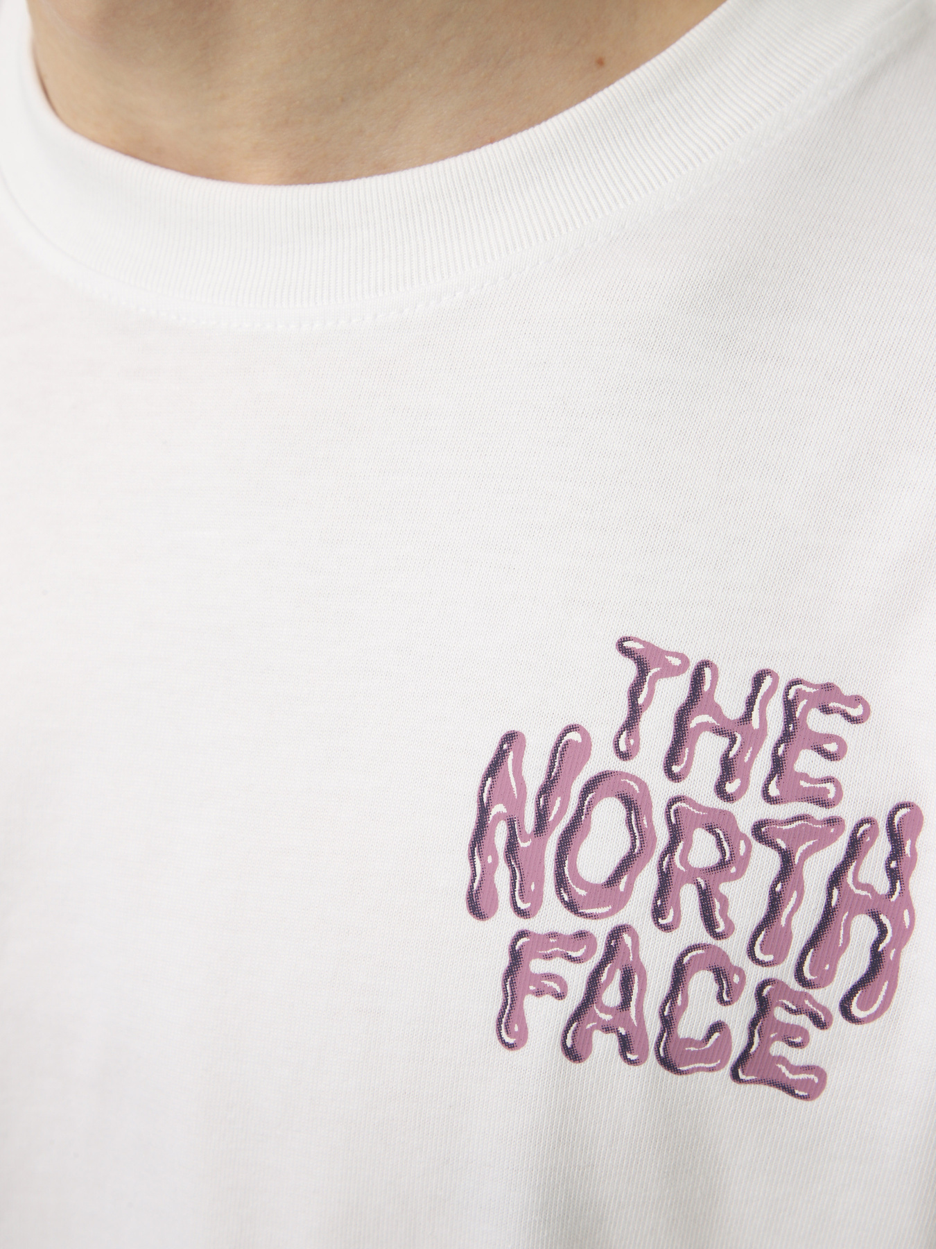 Футболки и поло The North Face M DRIP LOGO RELAXED SHORT SLEE модель NF0A8GABFN41 Фото