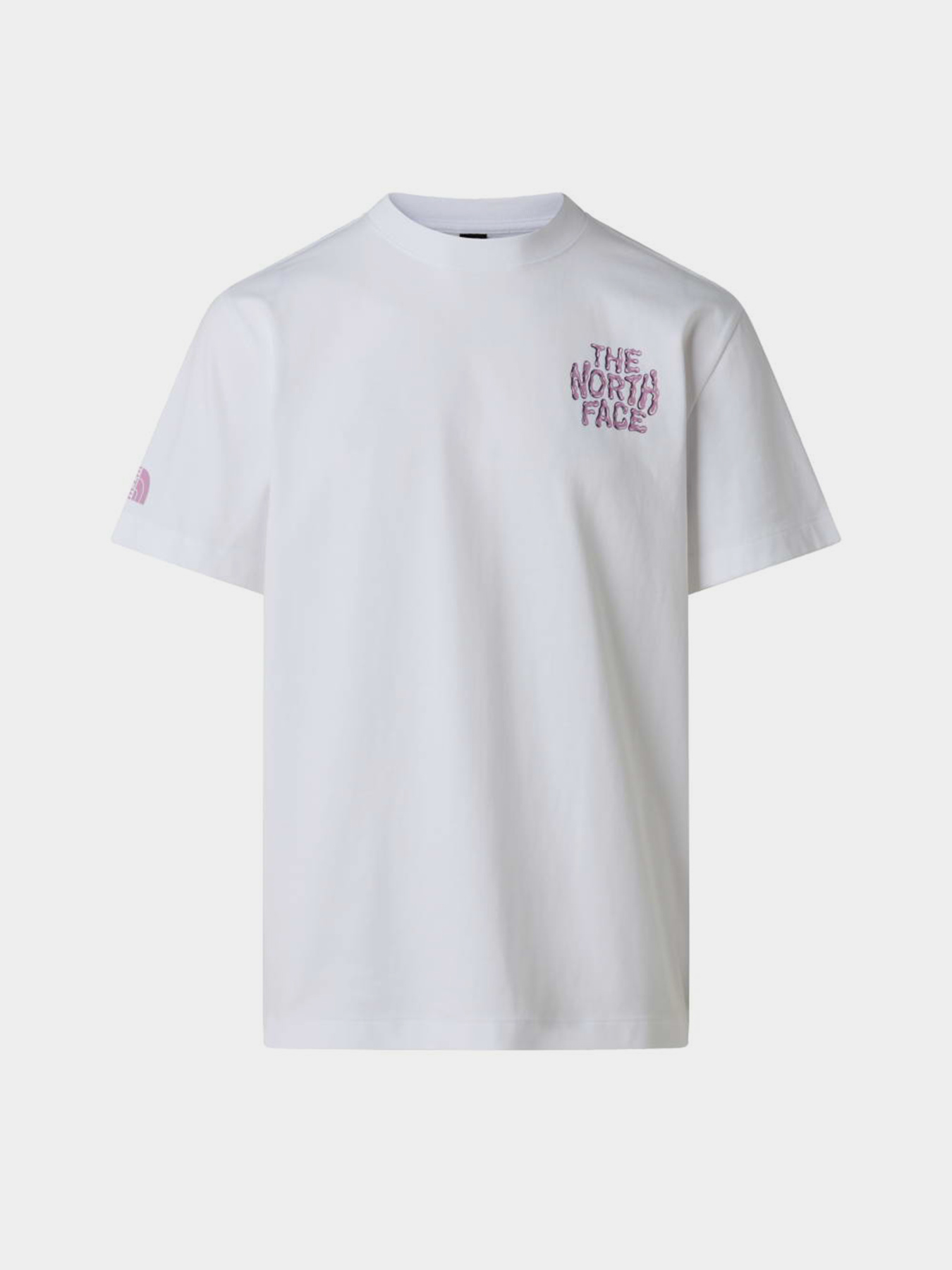 The North Face модель NF0A8GABFN41 Фото