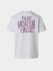 The North Face модель NF0A8GABFN41 Фото