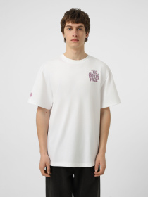 Футболка The North Face M DRIP LOGO RELAXED SHORT SLEE модель NF0A8GABFN41 Фото