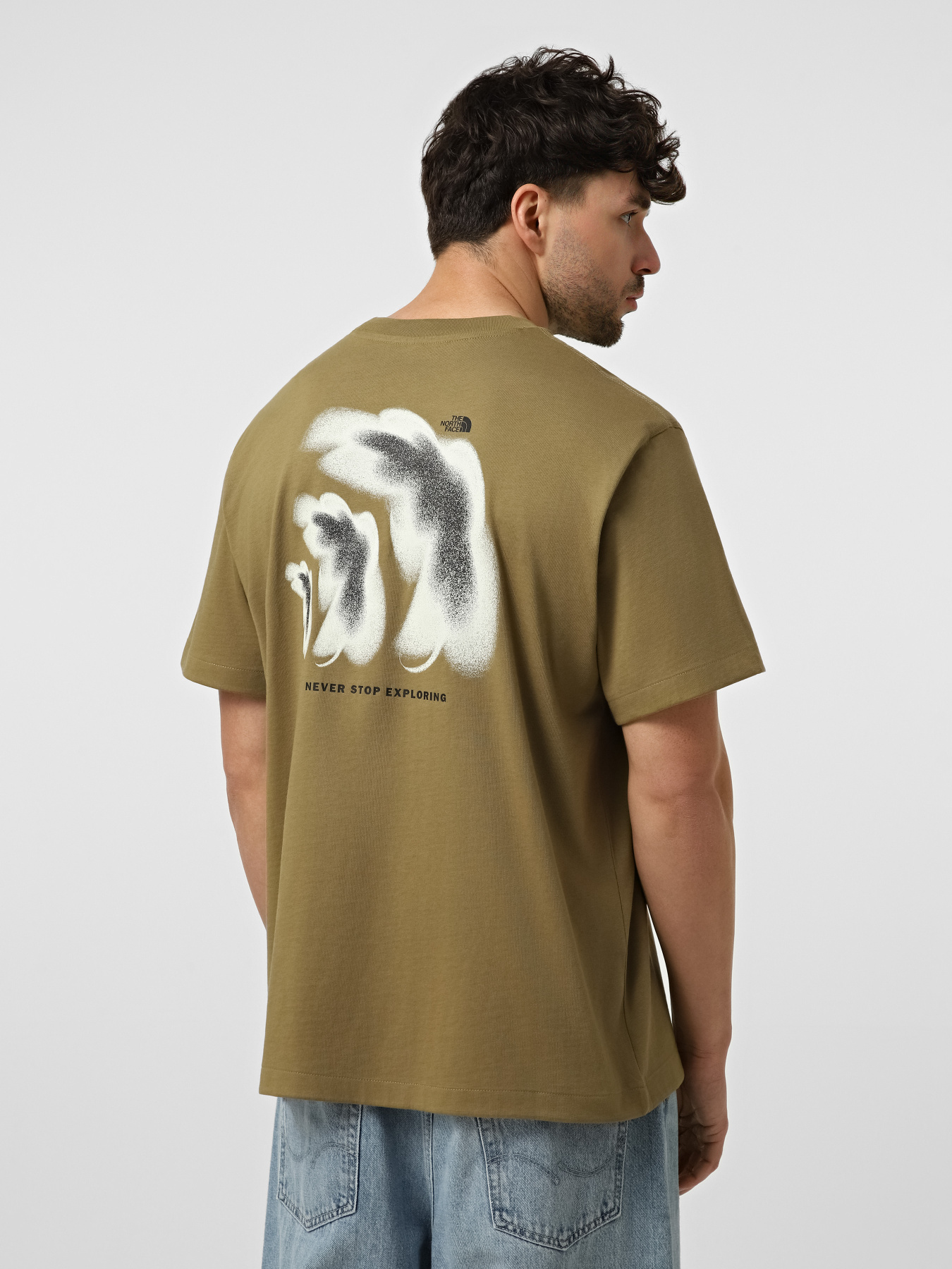 Футболки и поло The North Face M 1966 HALF DOME RELAXED SHORT модель NF0A8GAF2EL1 Фото