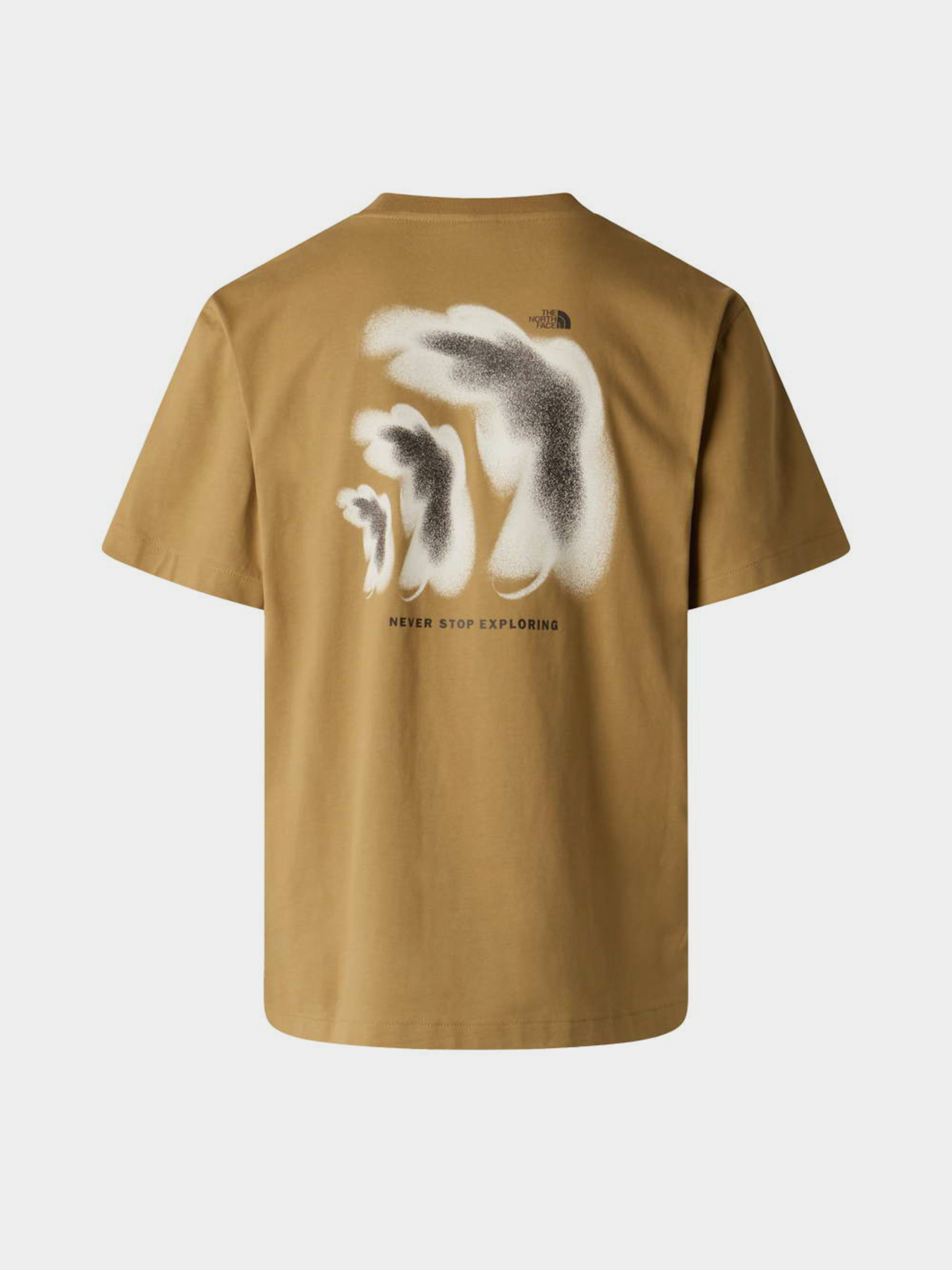 The North Face модель NF0A8GAF2EL1 Фото