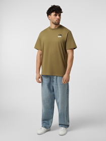 Футболки и поло The North Face M 1966 HALF DOME RELAXED SHORT модель NF0A8GAF2EL1 Фото