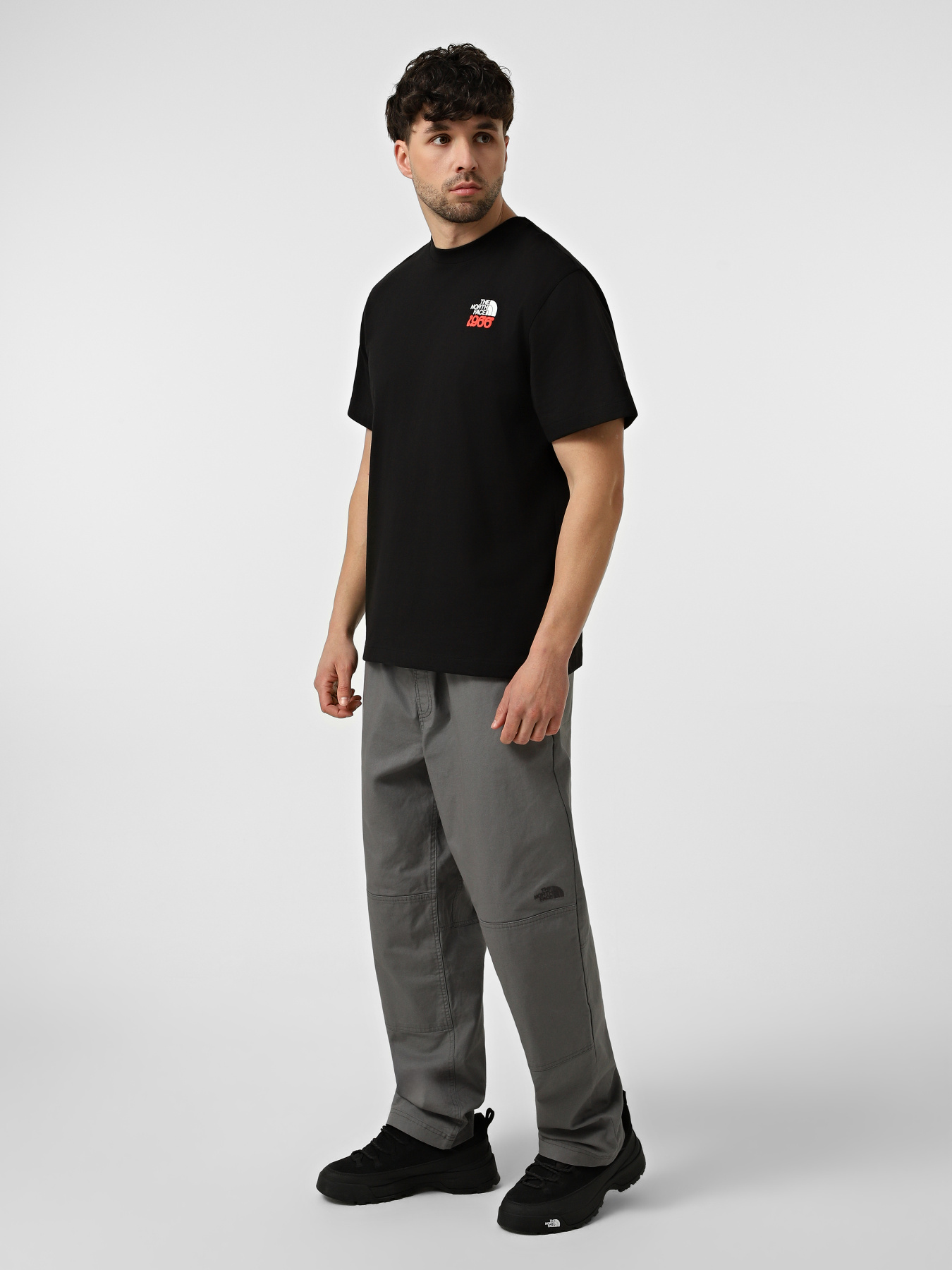 Футболки и поло The North Face M 1966 HALF DOME RELAXED SHORT модель NF0A8GAFJK31 Фото