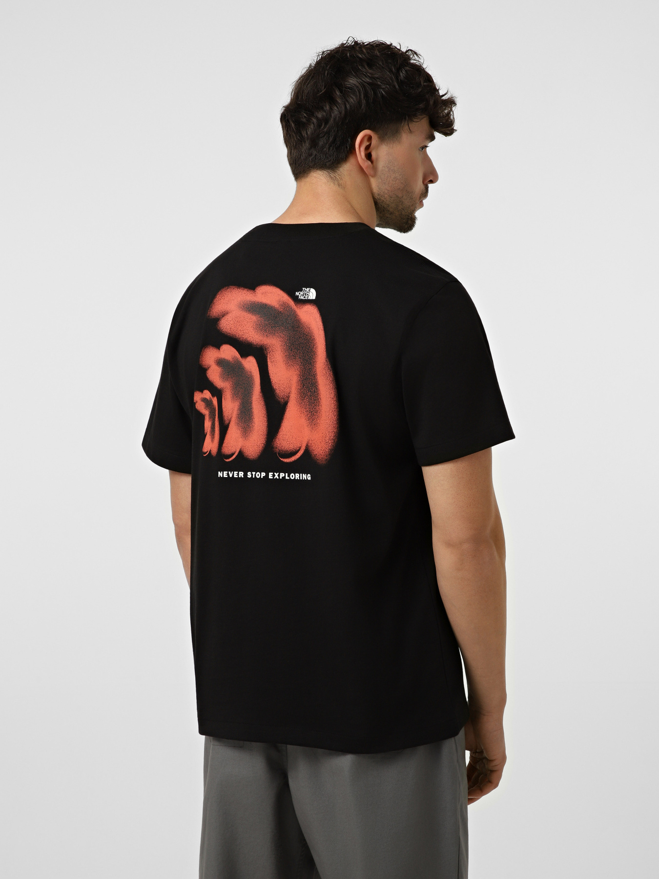 Футболки и поло The North Face M 1966 HALF DOME RELAXED SHORT модель NF0A8GAFJK31 Фото