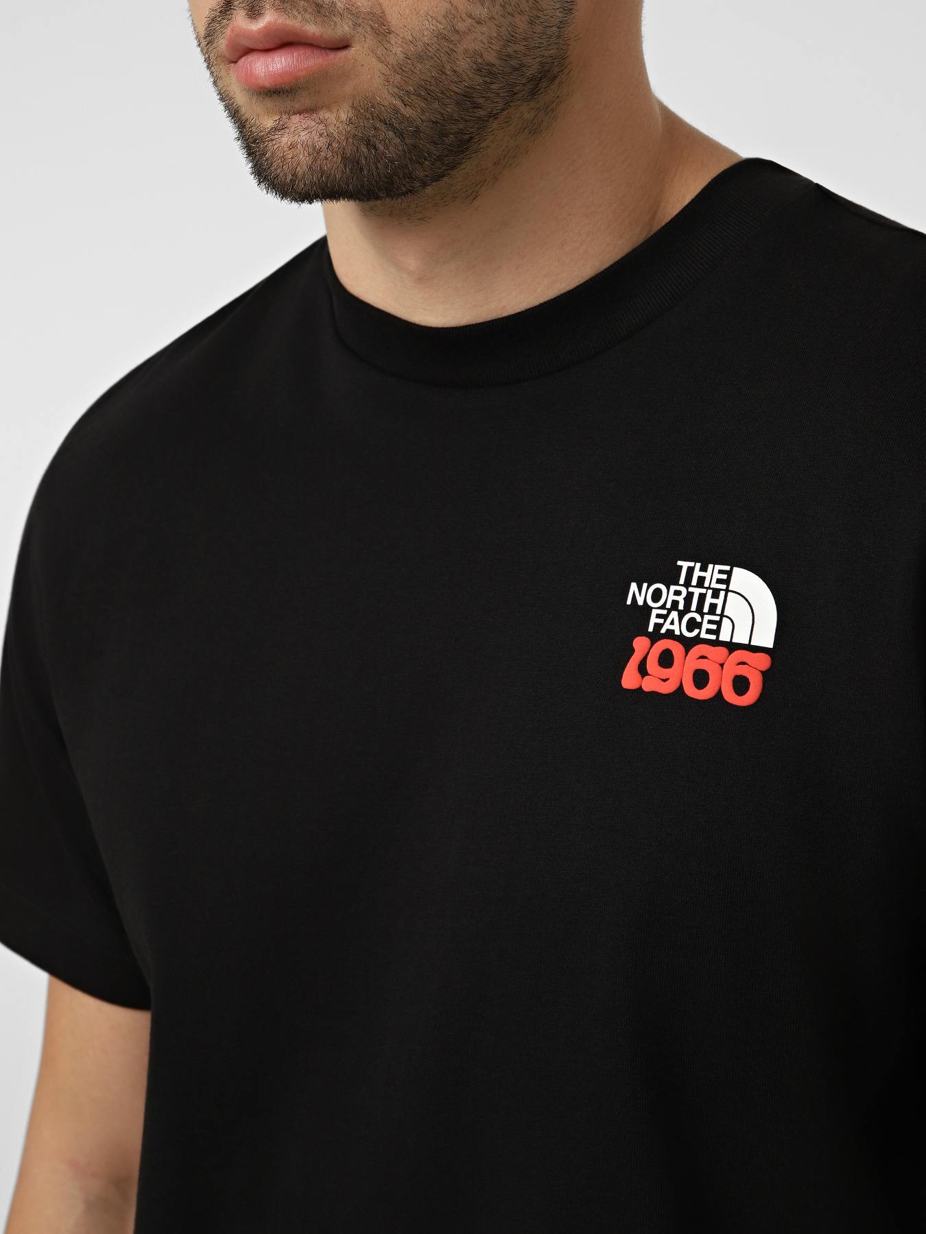 Футболки и поло The North Face M 1966 HALF DOME RELAXED SHORT модель NF0A8GAFJK31 Фото