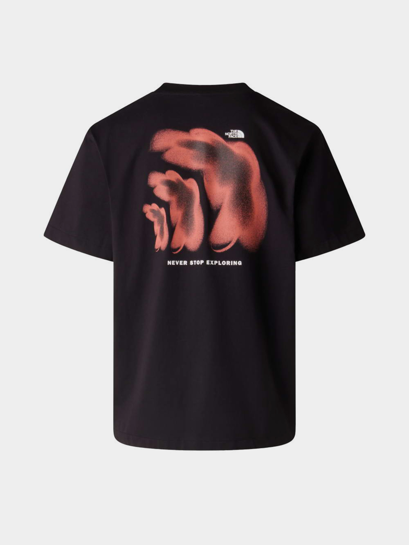 The North Face модель NF0A8GAFJK31 Фото