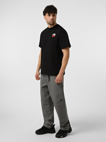 Футболки и поло The North Face M 1966 HALF DOME RELAXED SHORT модель NF0A8GAFJK31 Фото