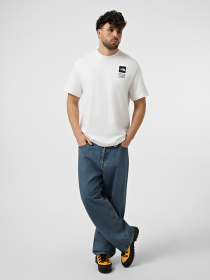 Футболки и поло The North Face M BCD CELEBRATION RELAXED SHOR модель NF0A8GAQFN41 Фото