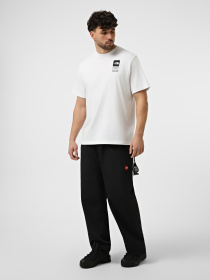 Футболки и поло The North Face M ICON CELEBRATION REGULAR SHO модель NF0A8GASFN41 Фото