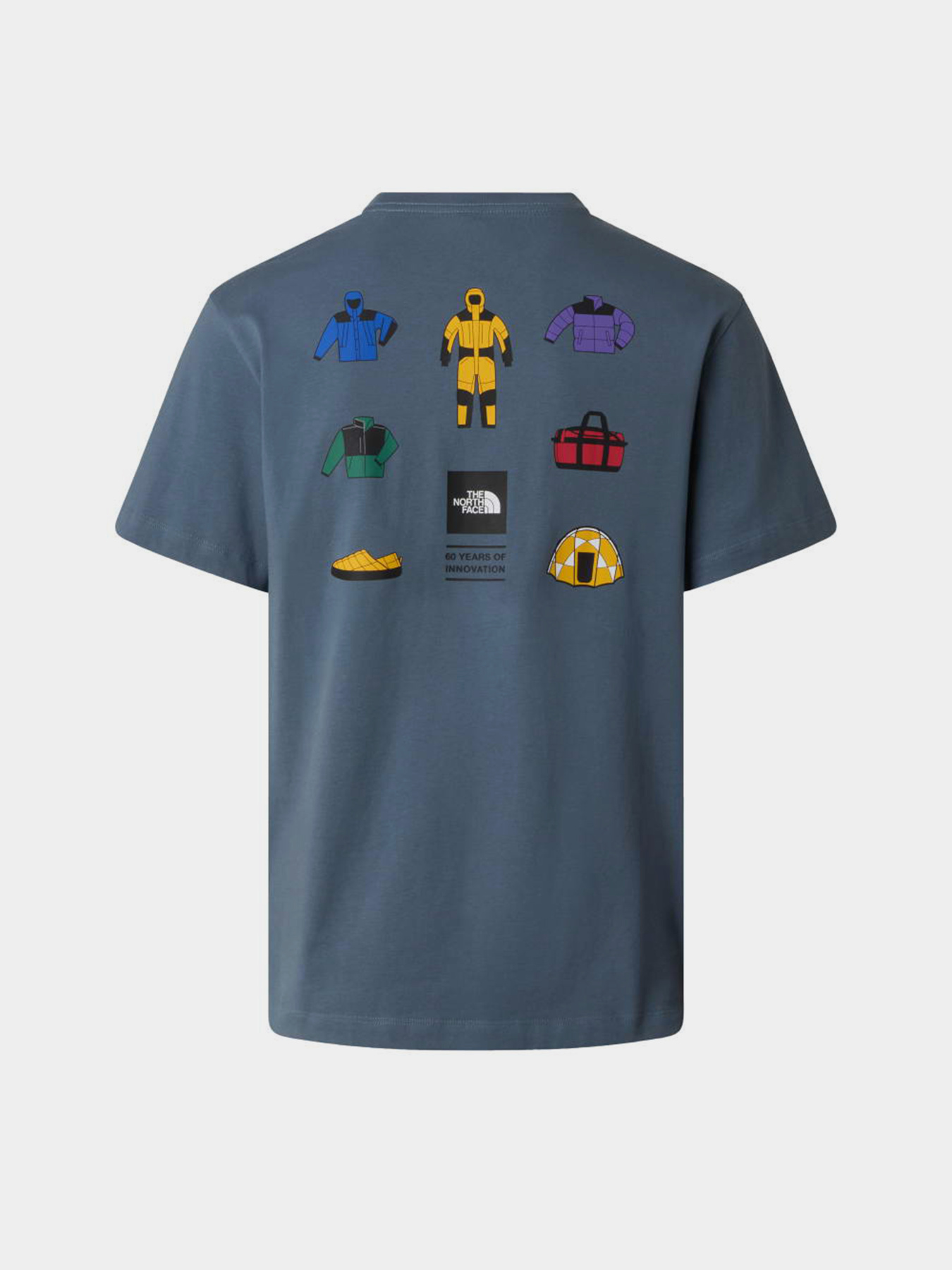 The North Face модель NF0A8GAS0U31 Фото