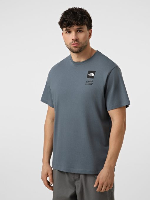 Футболка The North Face M ICON CELEBRATION REGULAR SHO модель NF0A8GAS0U31 Фото