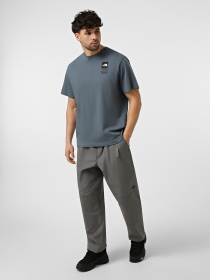 Футболки и поло The North Face M ICON CELEBRATION REGULAR SHO модель NF0A8GAS0U31 Фото