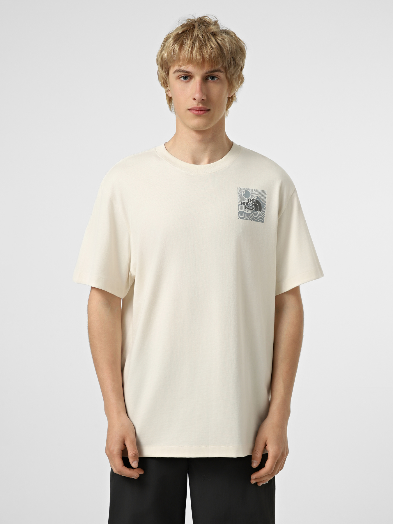 Футболки и поло The North Face M MOUNTAIN ESCAPE RELAXED SHOR модель NF0A8GB1QLI1 Футболки и поло The North Face M MOUNTAIN ESCAPE RELAXED SHOR модель NF0A8GB1QLI1 Фото